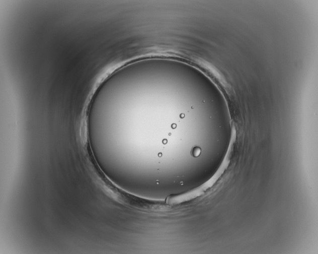 X0000116271371200911301205