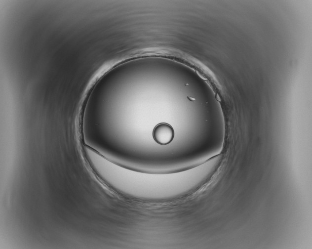 X0000116271373200911301205