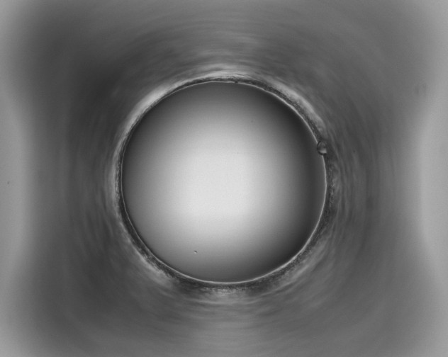 X0000116271375200911301205