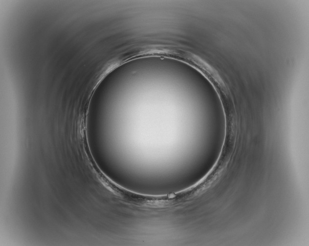 X0000116271377200911301205
