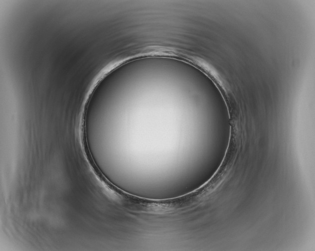X0000116271379200911301205