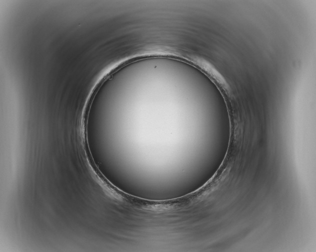 X0000116271380200911301205