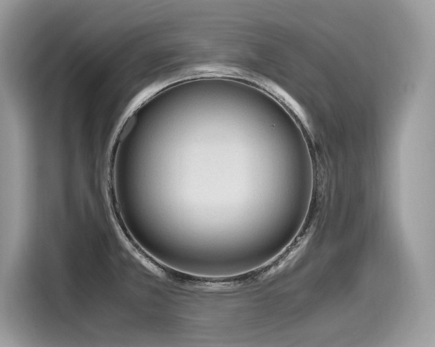 X0000116271381200911301204