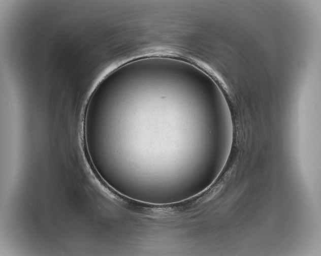 X0000116271383200911301204