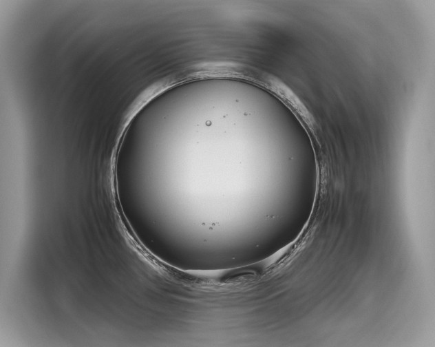 X0000116271386200911301204