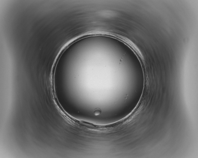 X0000116271388200911301204