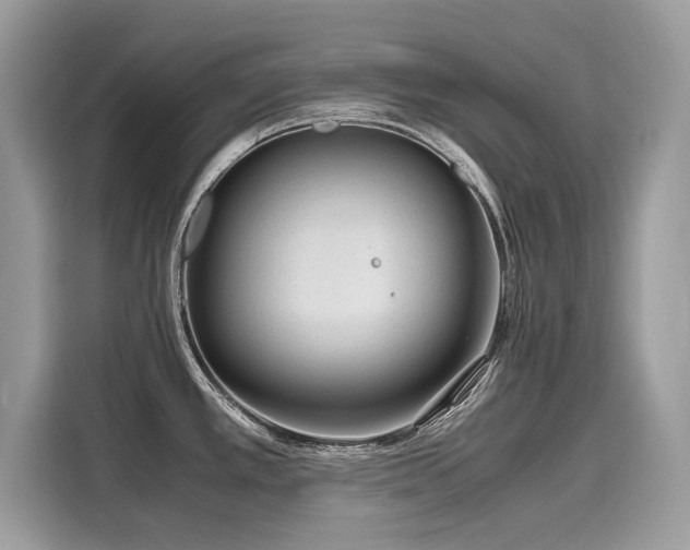 X0000116271389200911301204