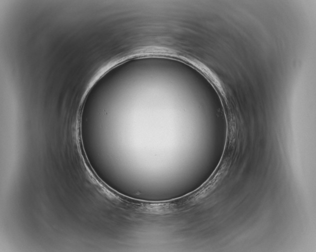 X0000116271390200911301204