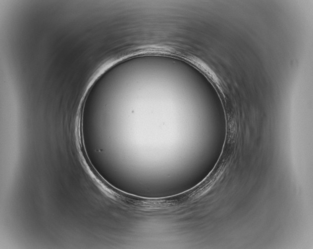X0000116271391200911301204