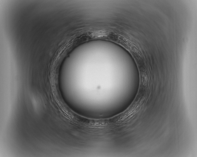 X0000116271393200911301204
