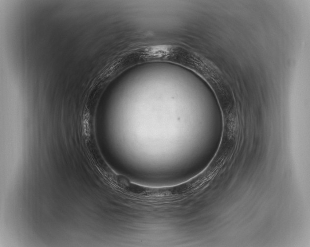 X0000116271394200911301204