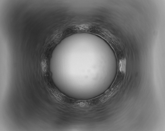 X0000116271395200911301204