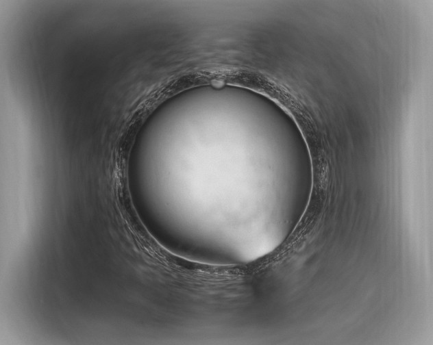 X0000116271397200911301204