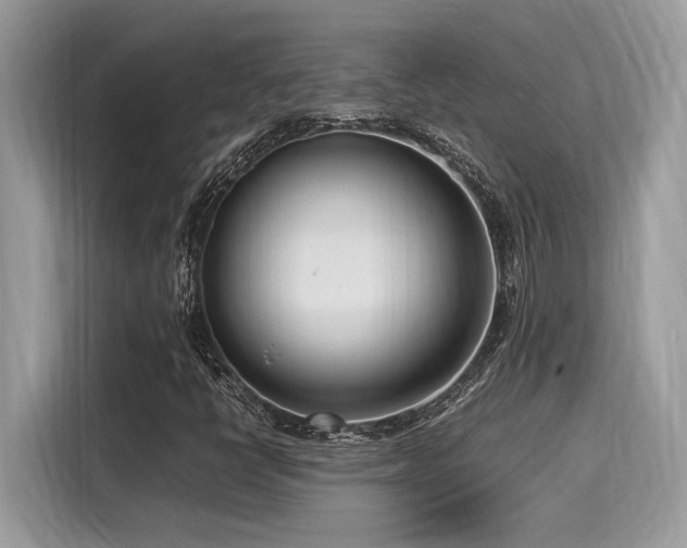 X0000116271398200911301204