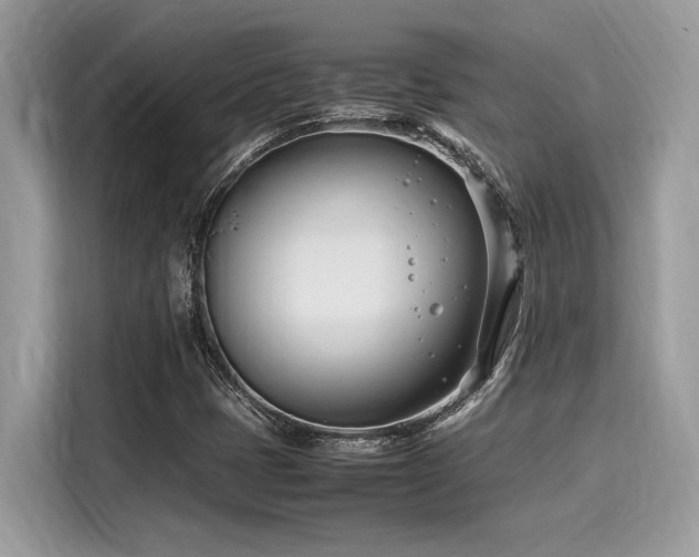 X0000116271401200911301204