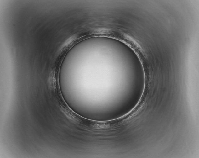 X0000116271403200911301204