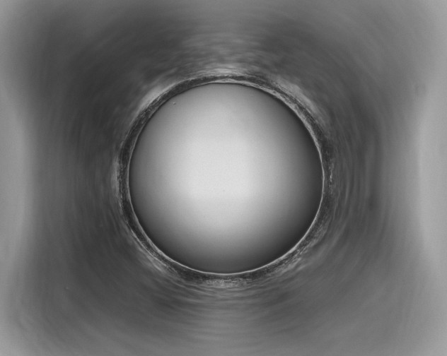 X0000116271404200911301204
