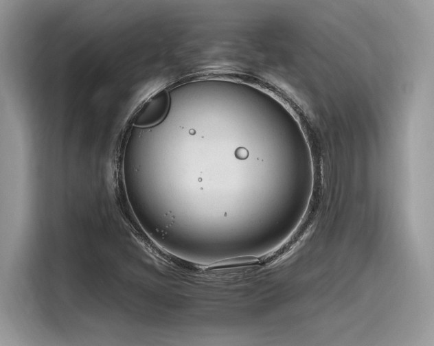 X0000116271405200911301204