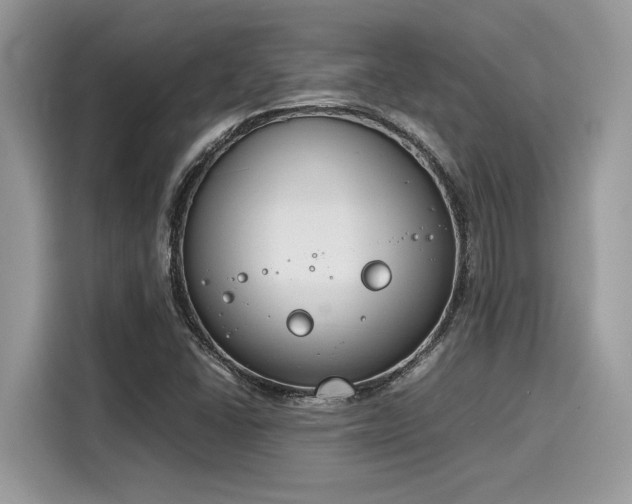 X0000116271406200911301204