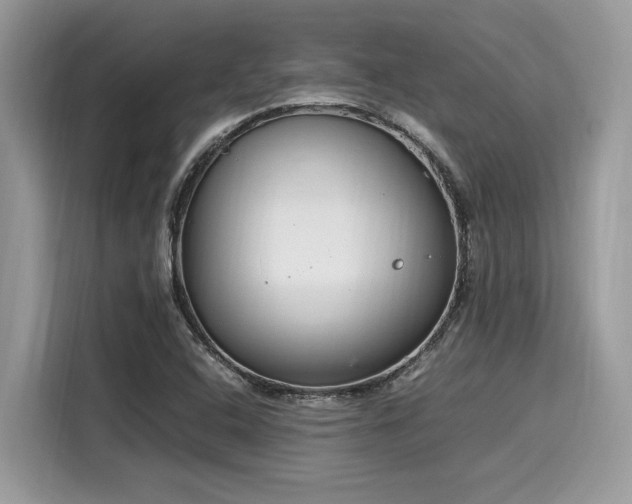 X0000116271408200911301204