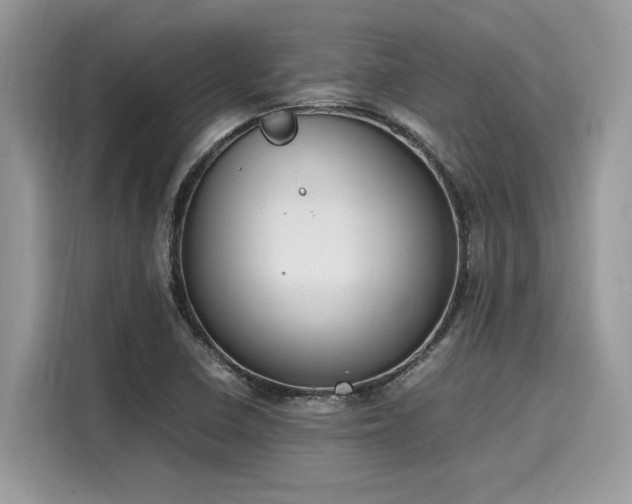 X0000116271410200911301204