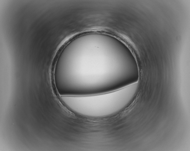 X0000116271412200911301204