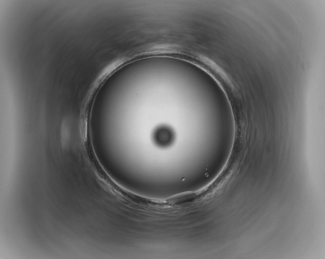 X0000116271413200911301204