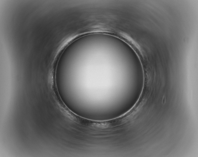 X0000116271415200911301204