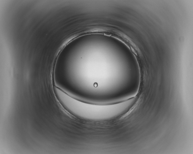 X0000116271417200911301204