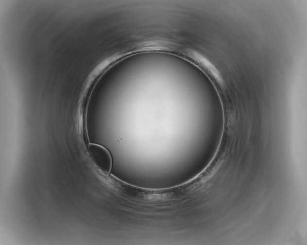 X0000116271419200911301204