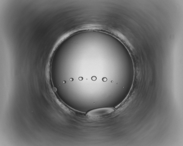 X0000116271421200911301204