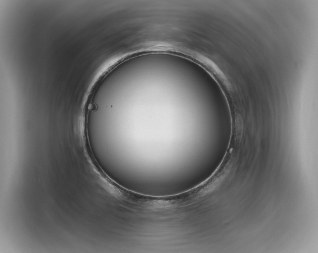 X0000116271424200911301204