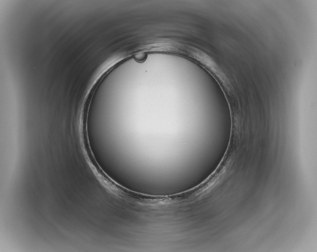 X0000116271426200911301204