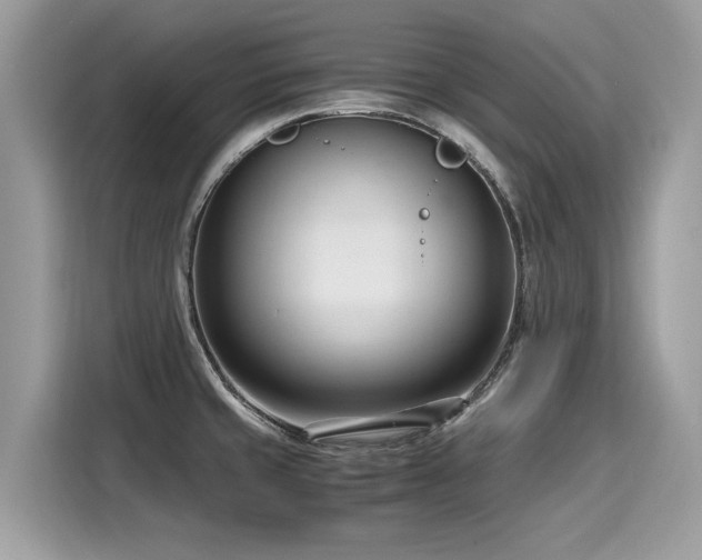 X0000116271429200911301204