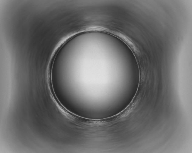 X0000116271430200911301204