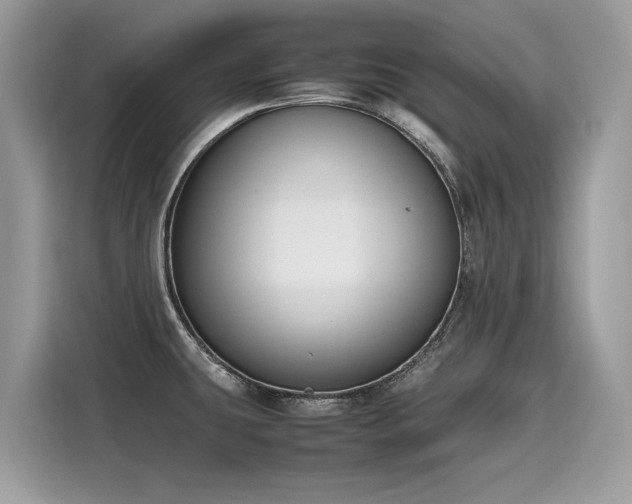X0000116271431200911301204