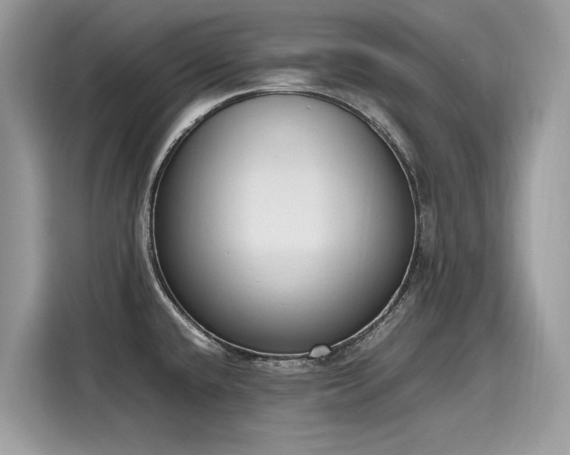 X0000116271432200911301204