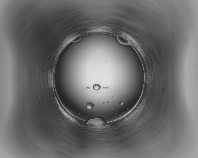 X0000116271433200911301204
