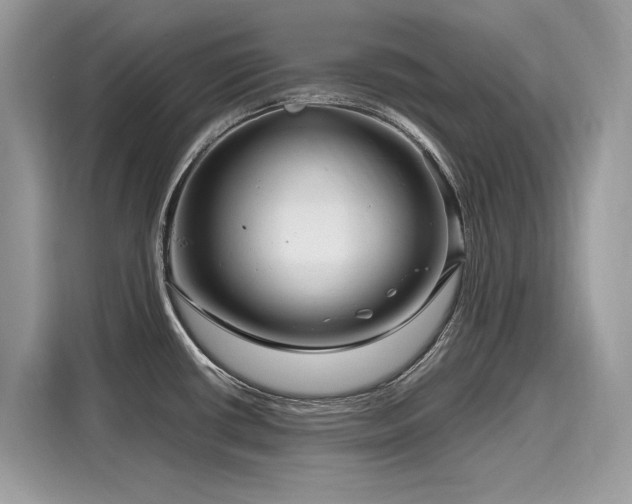 X0000116271434200911301204