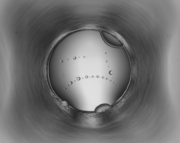 X0000116271435200911301204