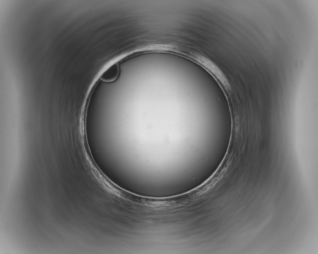 X0000116271436200911301204