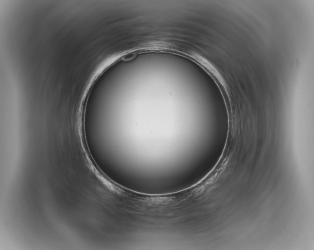X0000116271437200911301204