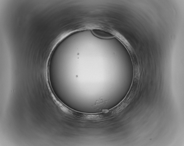 X0000116271439200911301204