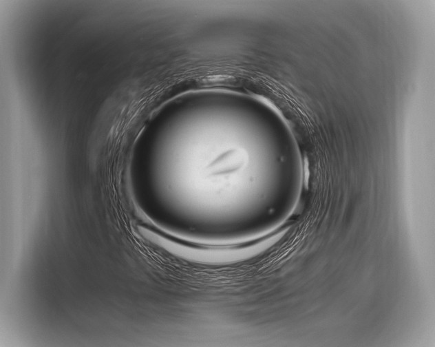 X0000116271441200911301204