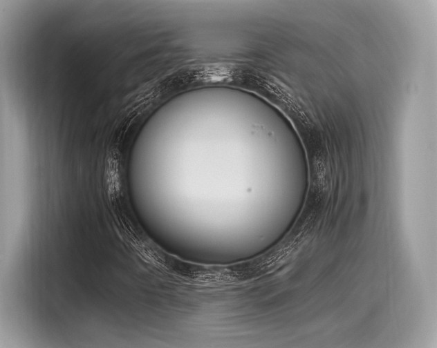 X0000116271442200911301204