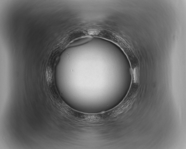 X0000116271443200911301204