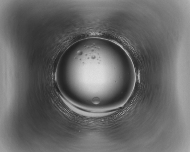 X0000116271444200911301204