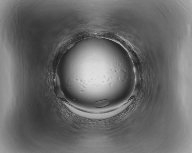 X0000116271447200911301204