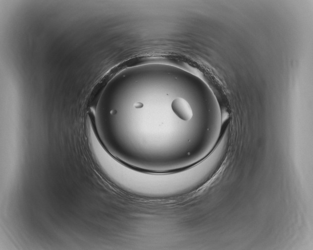 X0000116271449200911301204