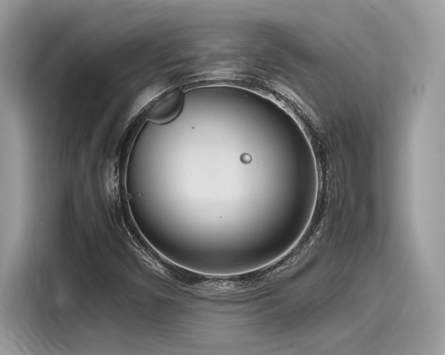X0000116271450200911301204